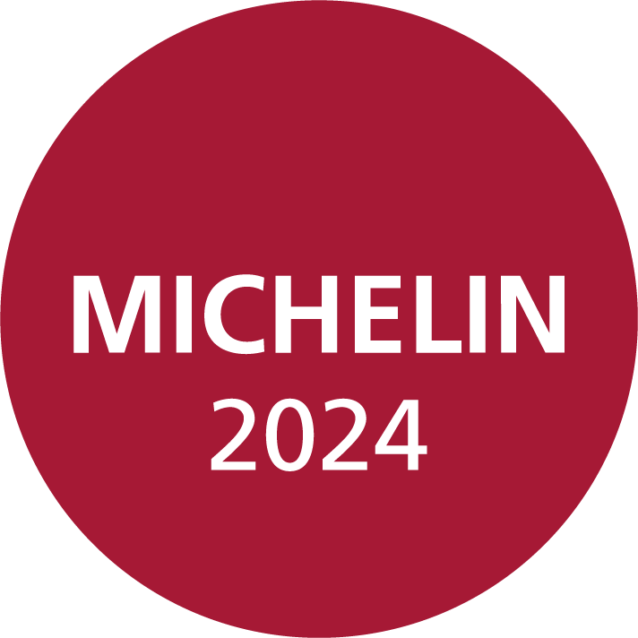 logotype michelin 2024