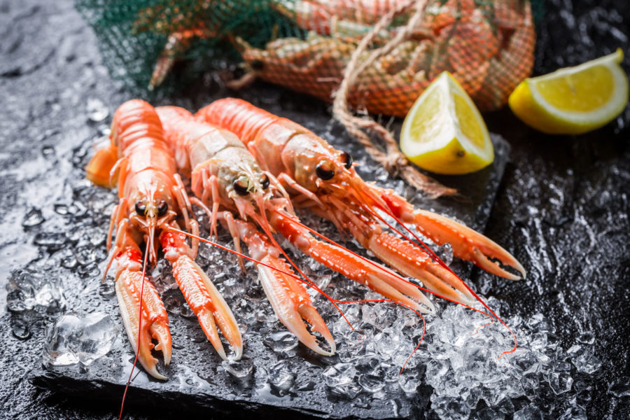 Chaque vendredi, dégustez nos langoustines fraiches et cuites minutes !