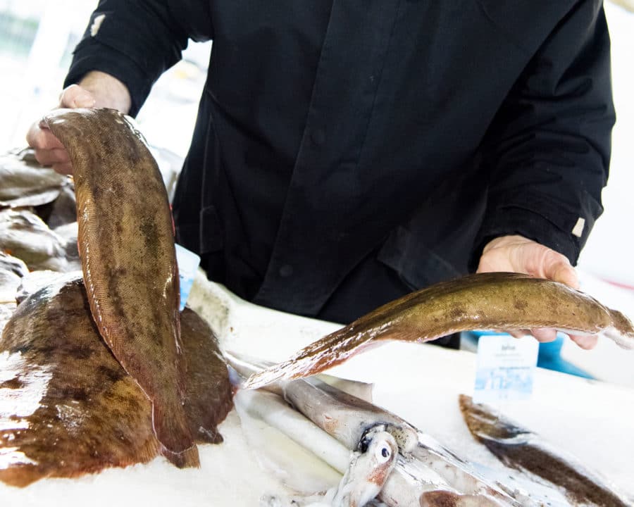 Comment bien choisir un poisson ?