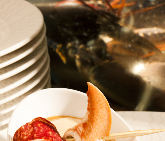 cappuccino de homard 1