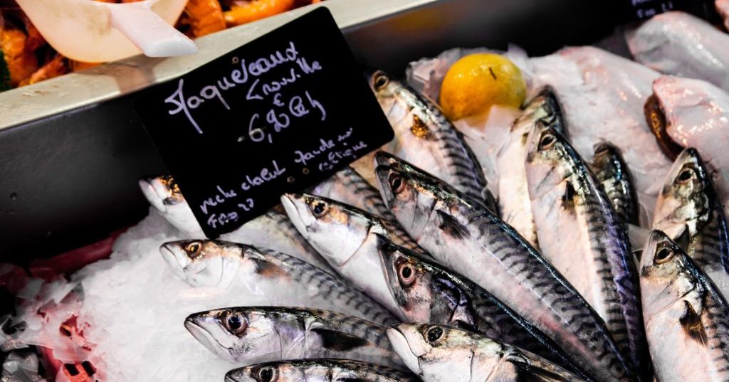 Les poissons gras : tout ce quil faut savoir