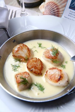 menu saint jacques 2025 creme